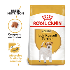 JACK RUSSEL ADULTO | ROYAL CANIN