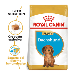 DACHSHUND PUPPY | ROYAL CANIN