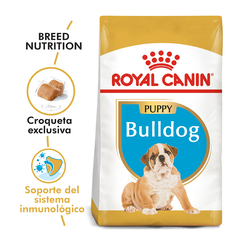 Bull Dog Ingles Puppy | ROYAL CANIN - comprar online