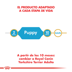 Imagen de YORKSHIRE TERRIER PUPPY | ROYAL CANIN