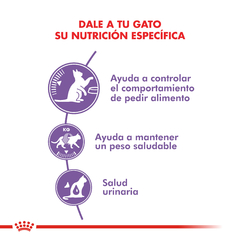 APPETTITE CONTROL CARE | ROYAL CANIN FELINE - comprar online