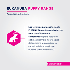 EUKANUBA | PUPPY LARGE en internet