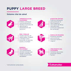 EUKANUBA | PUPPY LARGE - Oh! Can Pet Shop y Veterinaria