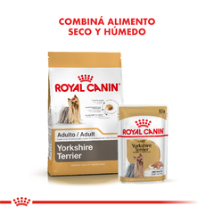 YORKSHIRE TERRIER ADULTO | ROYAL CANIN