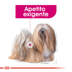 EXIGENT DOG POUCH X 85GRS | ROYAL CANIN en internet