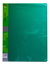 Carpeta Foliada 100 Folios Oficio Verde
