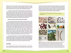 Libro Cultivo de Plantas Nativas - Cecilia Eynard en internet