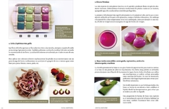 Libro Cocina Silvestre II - Guía práctica de reconocimiento uso gastronómico y medicinal de plantas silvestres selectas. - comprar online
