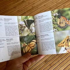 Libro Mariposas Porteñas - Fabio Márquez y Jorge Freitas - comprar online