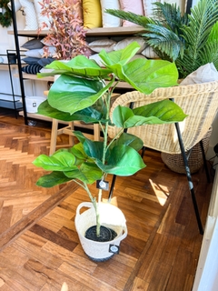 FICUS ARTIFICIAL 70CM