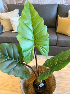 ALOCASIA ARTIFICIAL 60cm - comprar online