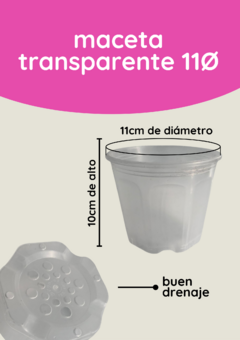 Maceta transparente Ø11