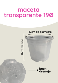 Maceta transparente Ø19