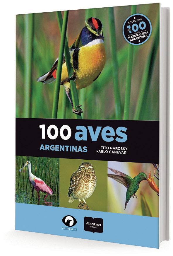 Guías de Aves Argentinas en internet