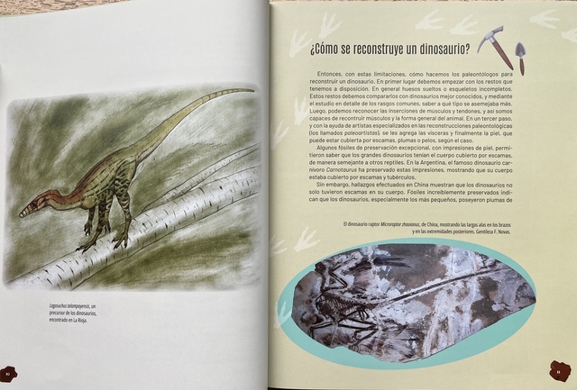 Enciclopedia de los Dinosaurios Argentinos - Editorial Albatros