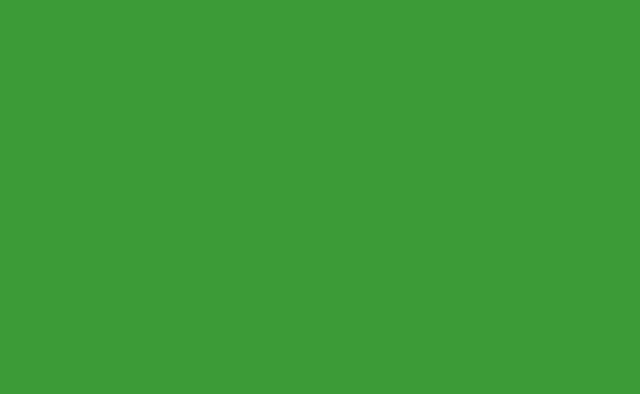 132 Veri Green - Fundo Infinito de Papel 1,35 X 11m BD (importado) - Chroma Key - comprar online
