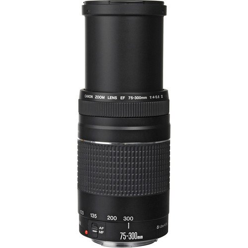 EF 75-300mm f/4-5.6 III - comprar online
