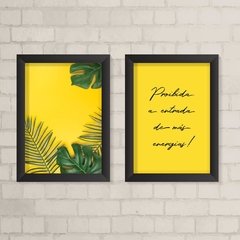 Kit de Quadros Palmeira e Costela de Adão Tropical - comprar online