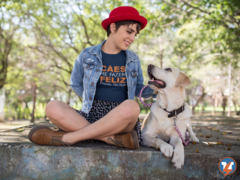 Camiseta Cachorros me fazem feliz você não muito