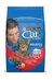 ALIMENTO CAT CHOW SABOR CARNE 500G