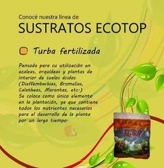 Turba fertilizada Ecotop en internet