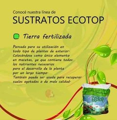 Tierra fertilizada Ecotop - comprar online