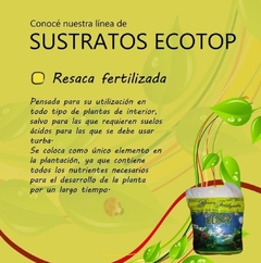 Resaca fertilizada Ecotop para plantas de interior - comprar online