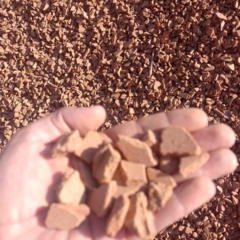 Piedra granza ceramica roja bolsa por 25 dm³ - Nuevo Vivero Hanasono