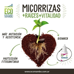 Micorrizas - Fertilizante Enraizante fortificador - Ecomambo - comprar online