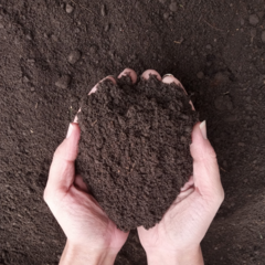 Bolson de tierra negra abonada con compost orgánico - tienda online