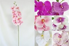 Haste de Orquídea Toque Natural Artificial Decoração Cores