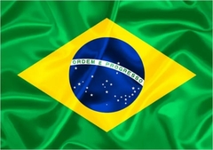Bandeira Brasil Torcedor 60X40 Com12 Peças Copa Grande