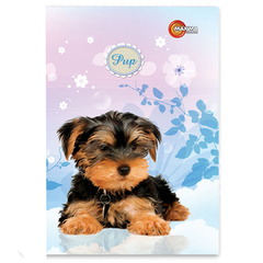 Caderno Brochurão Pup Cachorrinho 96 Folhas 1 Matéria Máxima - comprar online