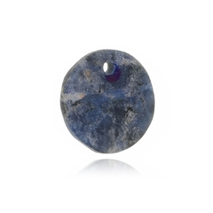 Sign of Capricorn pendant - buy online