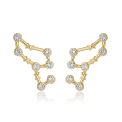 950 Sterling Silver Leo earrings gold plated or not - buy online