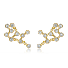 950 Sterling Silver Virgo earrings gold plated or not - buy online