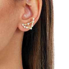 18k Gold Capricorn earrings with white Sapphires or Diamonds on internet