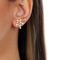 18k Gold Aquarius earrings with white Sapphires or Diamonds on internet