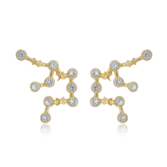 950 Sterling Silver Aquarius earrings gold plated or not - buy online