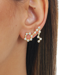 18k Gold Pisces earrings with white Sapphires or Diamonds on internet