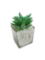 Imagen de Pack X12 Plantas Artificial en Maceta Vidrio Cactus Suculenta