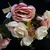 Ramo 10 flores Rosas y Rosas natural N: 62/382 - comprar online