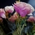Ramo 10 flores Rosas y Rosas natural N: 62/382 en internet