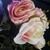 Ramo 10 flores Rosas y Rosas natural N: 62/382 - Guirnaldas Vip