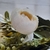 Ramo flor Artificial Peonias Blancas M: 1611 - comprar online