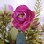 Ramo flor Artificial Peonias Rosa Oscuro M: 1611 - comprar online