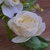 Guia flores artificiales Rosas Blancas 1 mt - comprar online