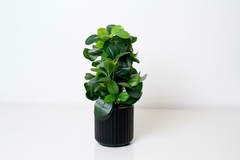 PLANTA ARTIFICIAL "ANA" CON MACETA DE CERAMICA - comprar online