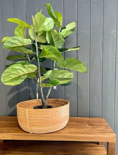 Ficus pandurata artificial - tienda online