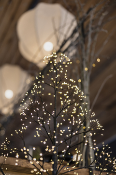 Imagen de Arbol de Navidad con luces